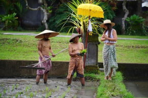  Umae Villa Ubud  Убуд